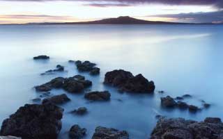 【晚来承意】60集短剧免费全集线上观影