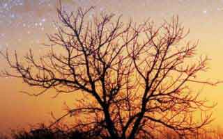 【如果当时我说了爱】84集免费短剧完整版观看