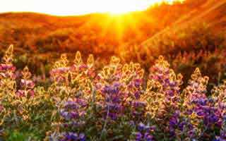 【重生后，反手将逆徒们逐出师门】80集短剧免费在线全集观赏