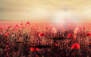 【全家都是我捡来的，从此横着走】100集短剧全集免费在线速看