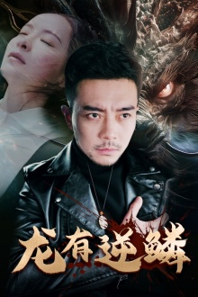 【龙有逆鳞】81集短剧免费在线观览