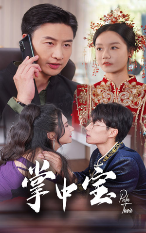 【掌中宝】免费在线看31集短剧全集