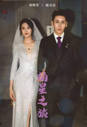 【摘星之旅】88集高清短剧免费在线看全集