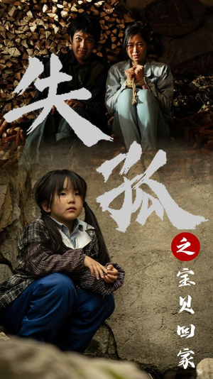 【失孤之宝贝回家】71集免费短剧在线观瞧