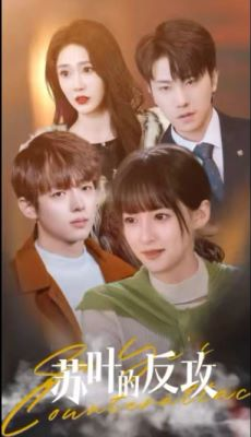 【苏叶的反攻】97集短剧免费全集在线赏映