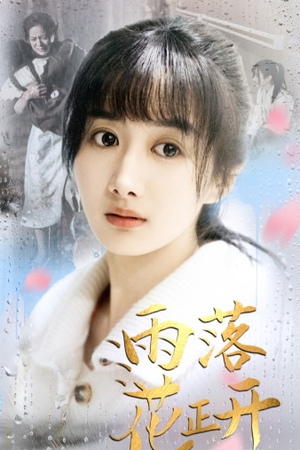 【雨落花正开】62集短剧免费全集在线畅享