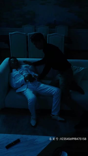 【至尊天尊】100集免费在线短剧尽情观