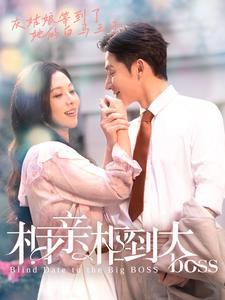 【相亲相到大boss】101集短剧全集免费在线看