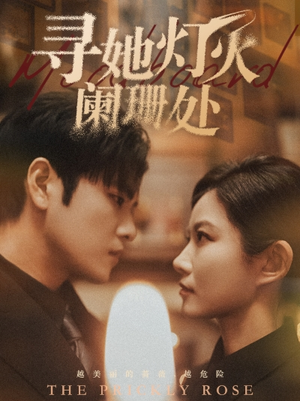 【寻她灯火阑珊处】61集短剧高清在线免费观