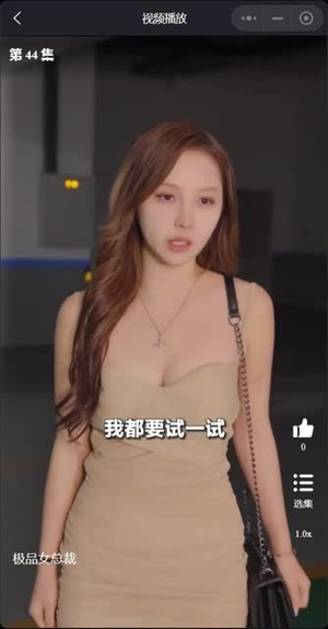 【我的富豪美女总裁】30集在线短剧免费赏看