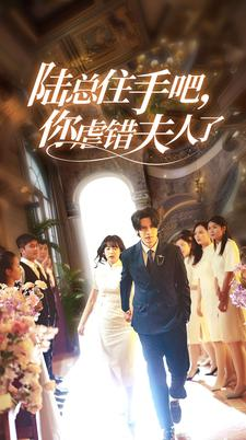 【陆总住手吧，你虐错夫人了】80集完整短剧免费在线看全集