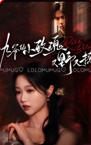 【九爷的小玫瑰又野又撩】100集短剧免费全集直看