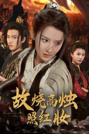 【故烧高烛照红妆】62集短剧在线免费快速观