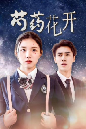 【芍药花开】77集短剧免费全集乐看