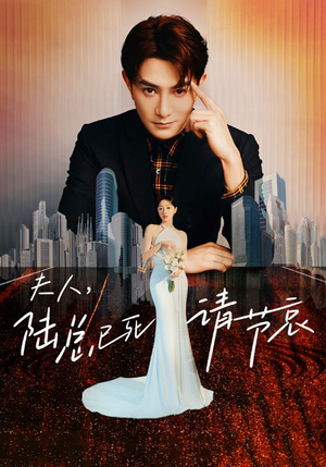 【夫人，陆总已死请节哀】95集精彩短剧全网在线观