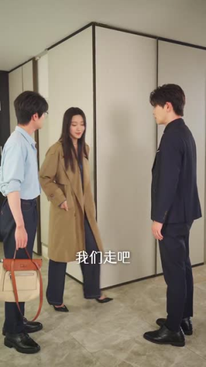 【不原谅不复合苏小姐独美】65集短剧全集畅享在线观看