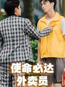 【使命必达外卖员】31集短剧免费全集一览