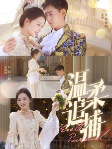 【温柔追捕】89集免费短剧在线完整观看