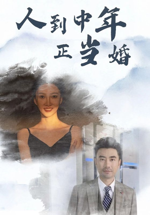 【人到中年正当婚】81集免费短剧在线赏看