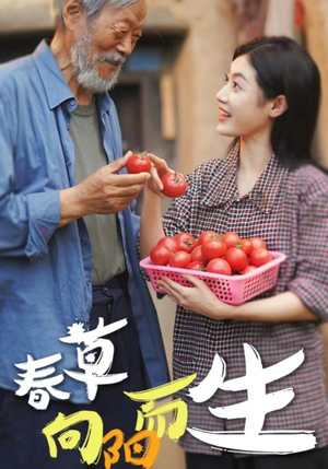【春草向阳而生】53集短剧在线高清观览