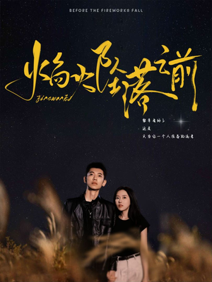 【焰火坠落之前】99集短剧全集免费速看