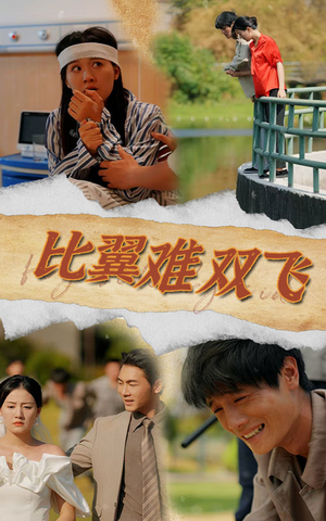 【比翼难双飞】30集在线短剧免费畅看
