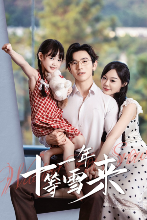 【十一年等雪来】50集短剧免费在线完整赏