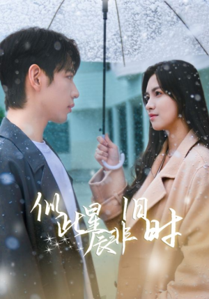 【似此星辰非旧时】59集星辰短剧免费在线畅看