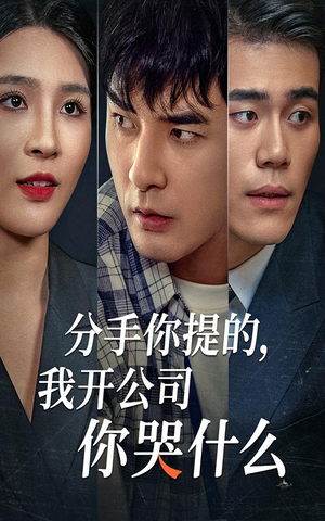 【分手你提的，我开公司你哭什么】61集短剧全集免费在线畅看