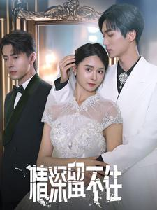 【情深留不住】80集精彩短剧在线免费观