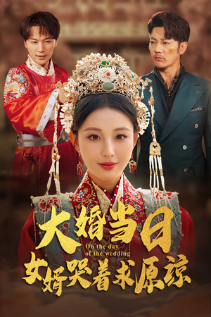 【大婚当日，女婿哭着求原谅】31集免费短剧全集观瞧
