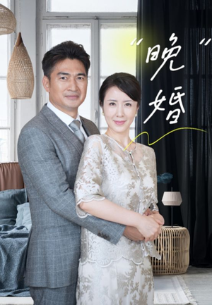 晚婚（65集）原创精彩短剧