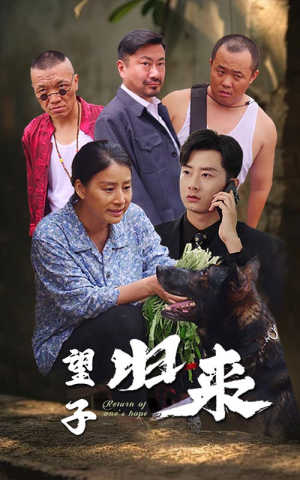 【望子归来】50集高清短剧免费在线观看