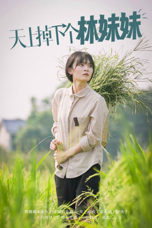【天上掉下个林妹妹】81集免费在线短剧完整播放