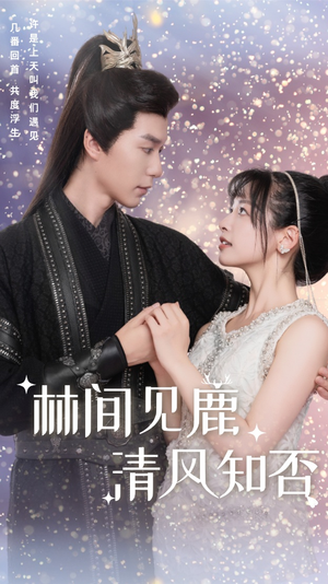 【林间见鹿清风知否】62集短剧在线免费观览