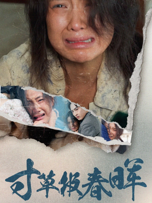 【寸草报春晖】65集短剧免费在线完整赏