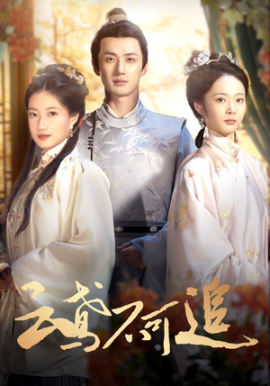 【云鸢不可追】42集在线畅看短剧全集