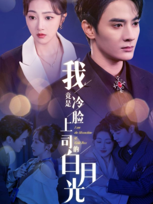 【我竟是冷脸上司的白月光】80集短剧全集网盘便捷看