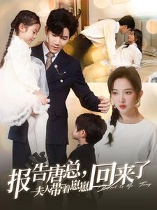 【报告唐总夫人带着崽崽回来了】100集在线观看短剧无广告