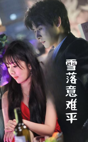 【雪落意难平】35集热门短剧免费在线赏看