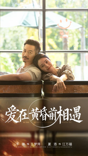 【爱在黄昏前相遇】65集短剧免费在线观览