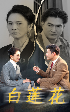 【白莲花】40集短剧免费全集直看