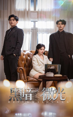 【黑暗微光】66集短剧免费全集赏观