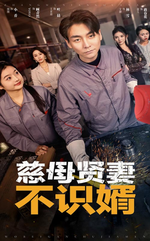 【慈母贤妻不识婿】45集短剧全集免费在线赏