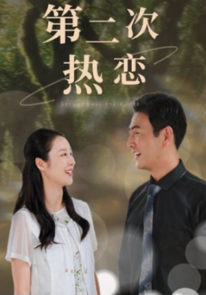 【第二次热恋】48集夸克网盘短剧免费看