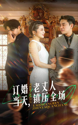 【订婚当天，老丈人镇压全场】29集短剧全集免费在线观瞧