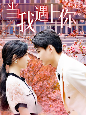 【当我遇上你】100集短剧在线免费观看
