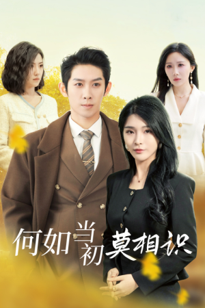 【何如当初莫相识】36集在线短剧免费观全集
