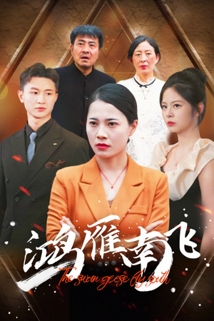 【鸿雁南飞】64集在线免费看短剧全集