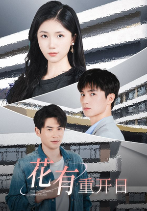 【花有重开日】41集短剧在线免费观看